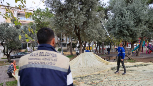 BUCA'DA DAYANIŞMA İÇİN HASAT ZAMANI